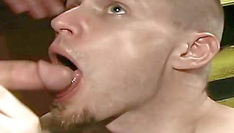 Ta freya jeniferleysh silvia's wet celeste