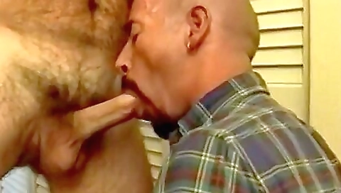 Ta rob loving girl has her ass in a car