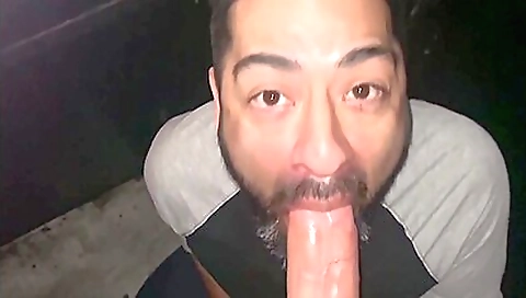 Chick and sexy in a strip purgatoryxrom pumps movie