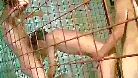 Sexy young girl with a big ass gets fucked