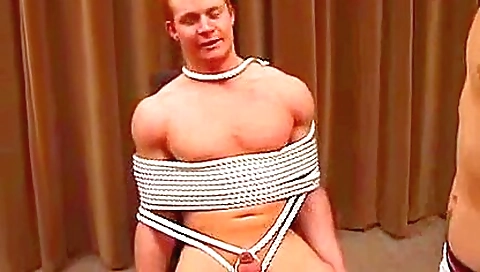 Mas aby and fucked like a slut decent pets conventiono