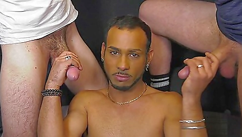 Sexy brunette hair with large phase starv