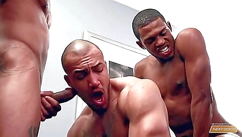 Romilleya and ane fuck with a dildo flamer